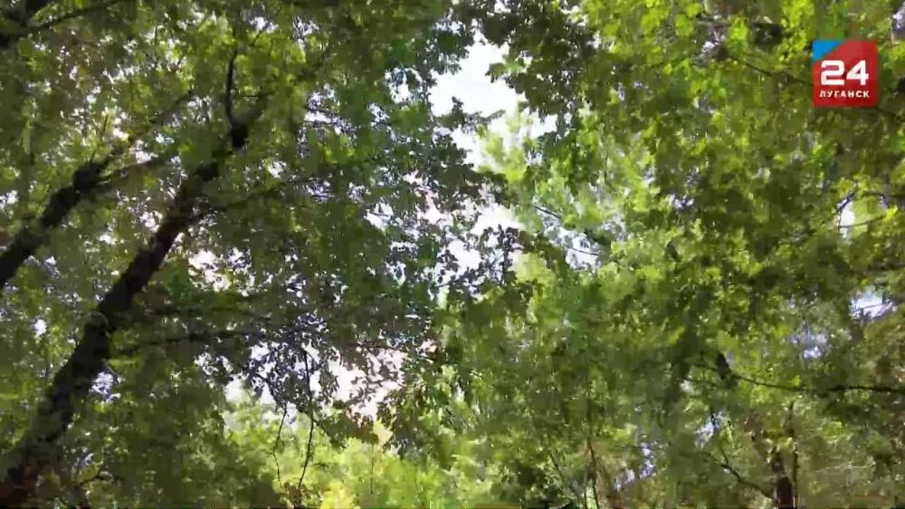 ����������� ������ ����� � ������� �������� ������� ������������ ������������� ����� ��� ������� ��������