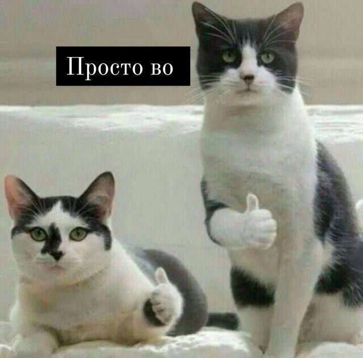 ����� ������ ������� ������� ��������?