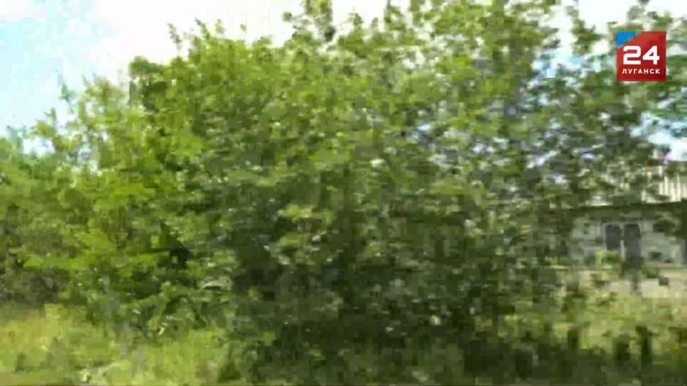 ��������������� ������ � ������� �������, ����� ���� ���� ���� �� ������ �����������