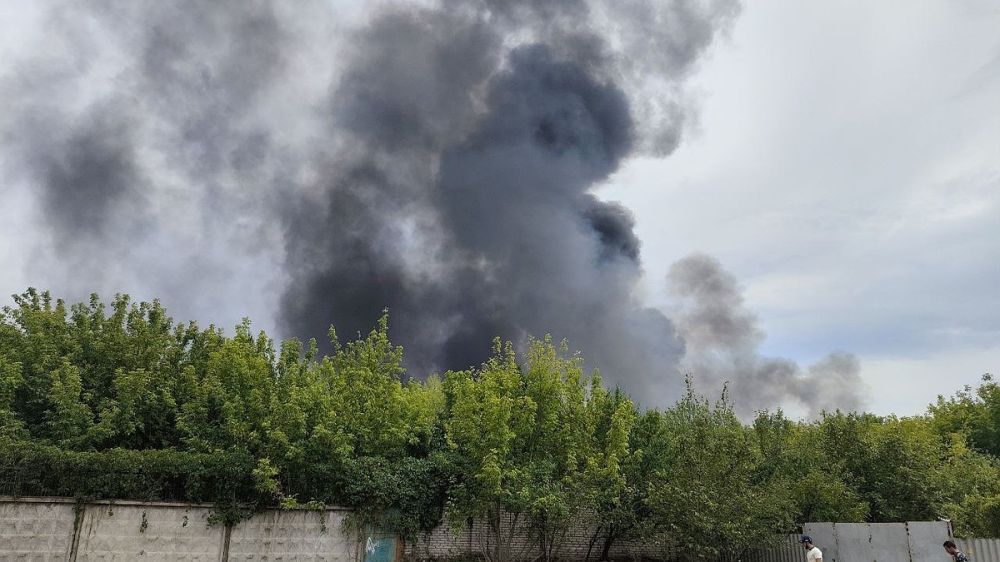 ��� ���������� ��������� ������� ������ ������� ������� ���������