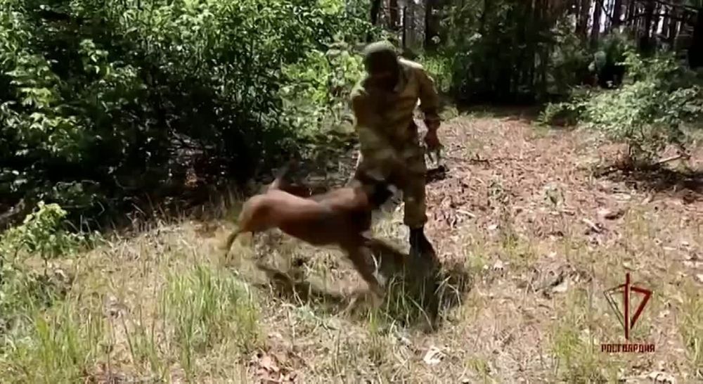 �����������-�������� ���������� ��������� ��������� ��������-������ ������ � ���� ���������� ���