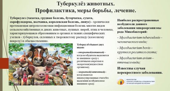 �������. ������������ � ������ � ������������ � ��������