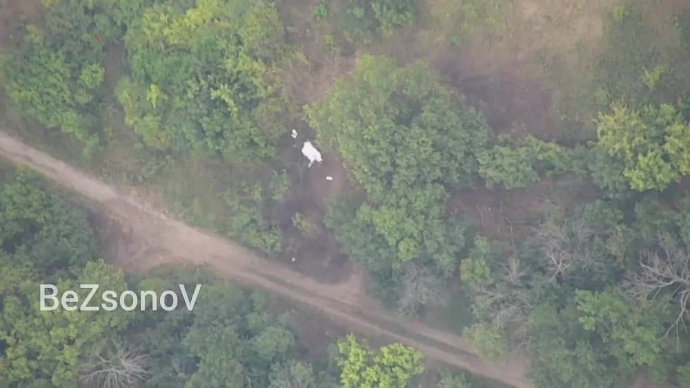 ������ ��������: ���� ����� � ������ �.�. �������� �� ����������� ����������� �������, � ����� ���������� ���������� ��������� ������� �-30 ���