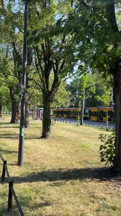 ����� �������� ������������� ����������� ������� ����� �� ������ ���������������� �������