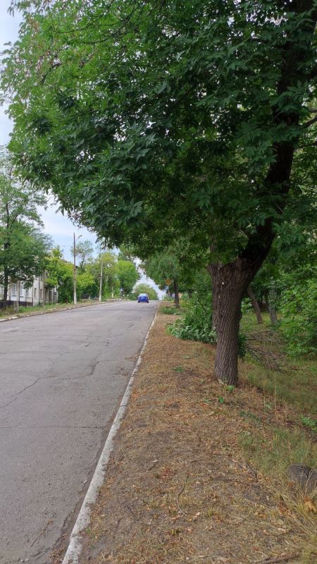 �������� ��������: ������������ ������ ���������� ������ �� ������ �������