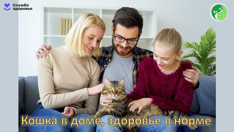 8 ������� ��������� ���� �����