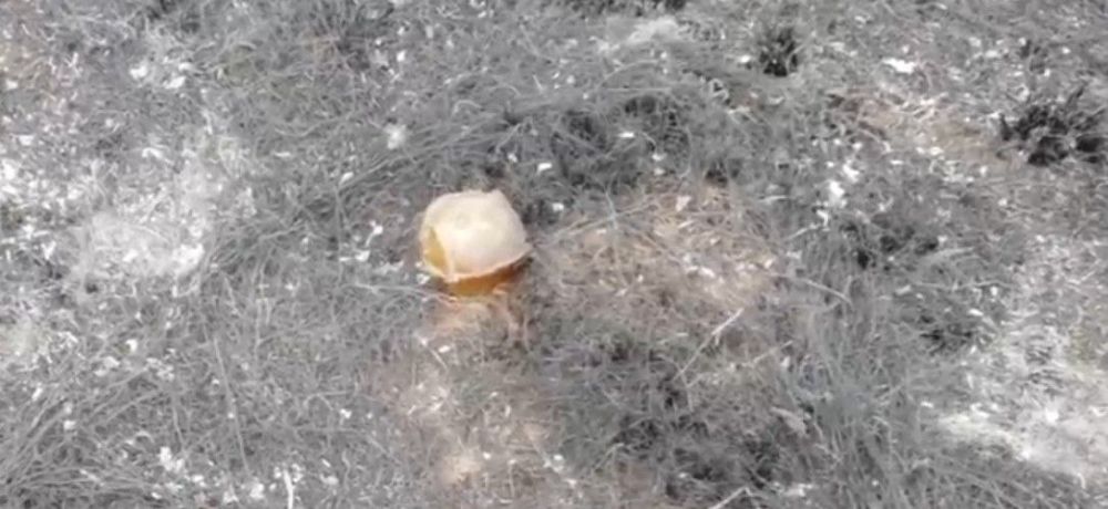 �������� ���������: � ��������� 13-������ ������� �������� ������� ������ � ���������� ������ ���������� ���������� ���: ���������� ����� ���������� ������������ ����������� ���������� ��� �������� ������ ������� ����������