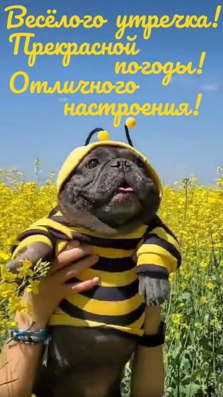 � ������ �����, ������ �������������� ������!