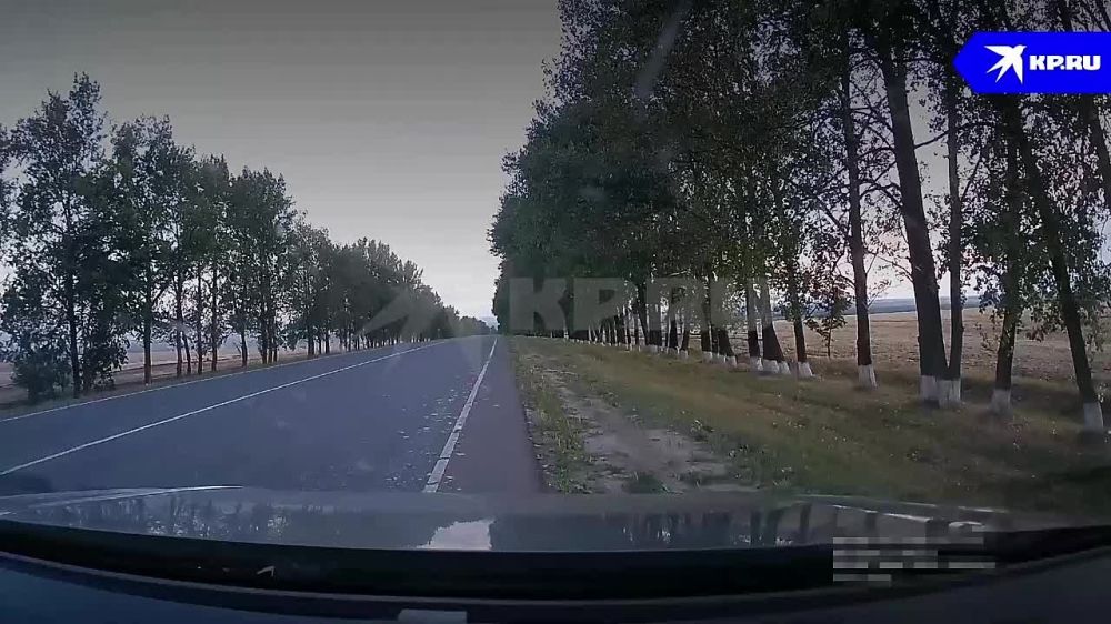 ����� ������ ����� �������� �������� ������� ����������