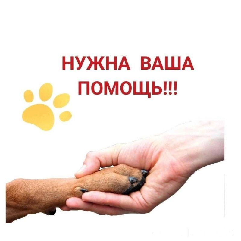 ������, ����� ������ ��� ��������, ������� ���������� � ����� 2014 � ������ ��������� � ���� ���������� ���, ���������� �� ���� ������������� ����� � �������� � ��������� ������ � ��������� ������ �� ����