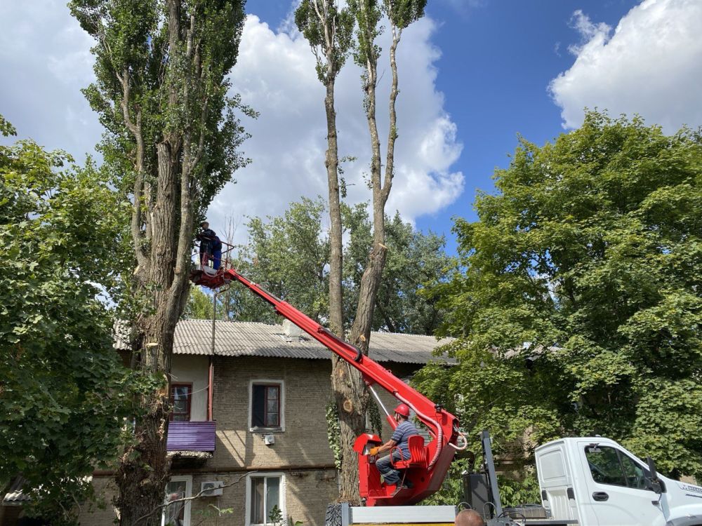 ��������: � ����������� ������������ ������ �� ������� ��������� ��������