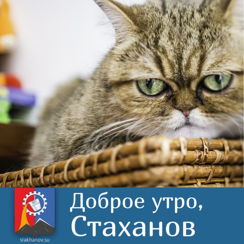 Доброе утро понедельника