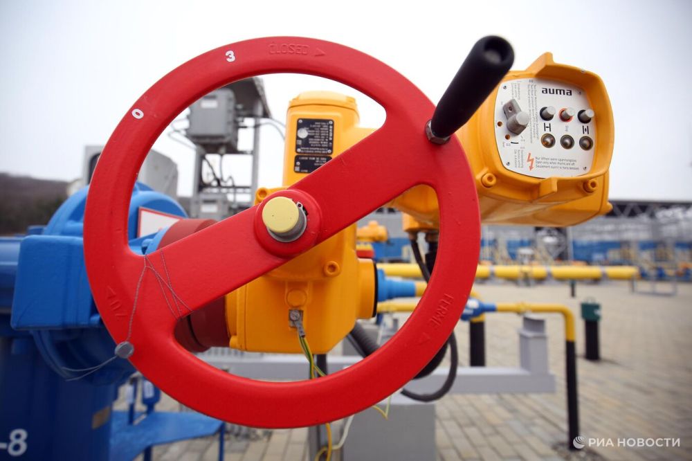 ������ ���� ����� ������� �� ��� "�����" ��������� �� ��������