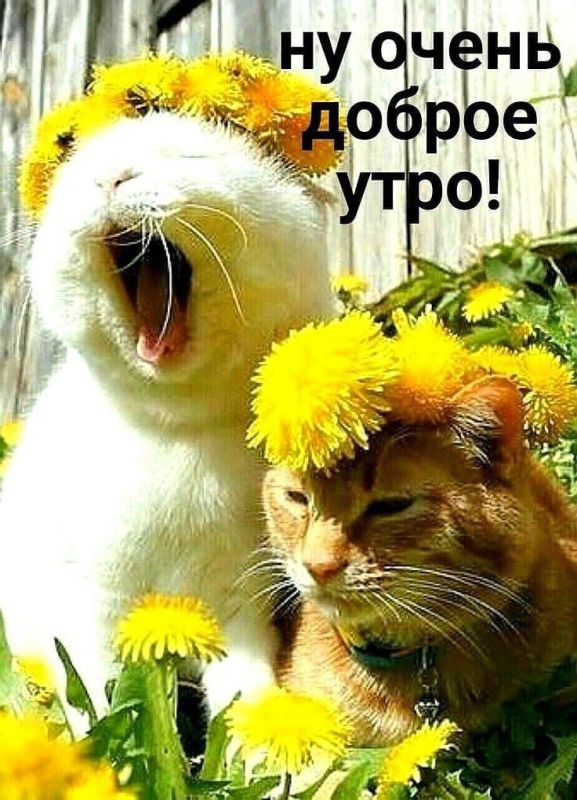 � ������ �����, ������ �������������� ������!