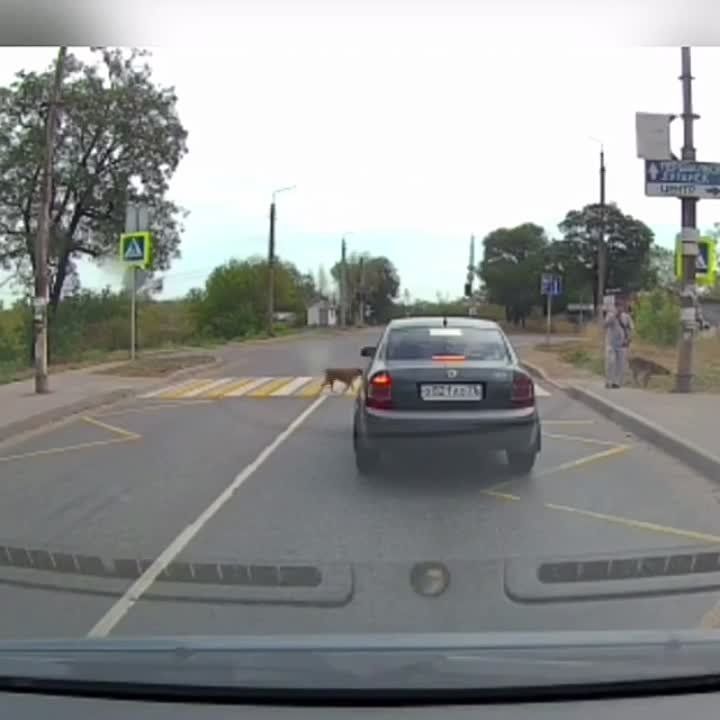 � �. �������� �������� ������������������ �����, ������� ���������� ������ �� ����������� ��������