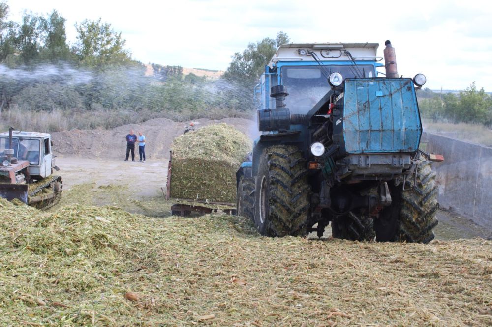 �������� ���������: ��� ��������������� � ������������� ������, ��� ������������ �������� ����������, ������� ���������� ���������� ������