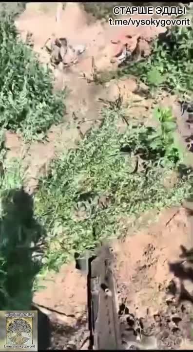 ����� �������-���������. ���������� ����������� 144 ��� ������� �� ��������� ������� �����. ������ �������