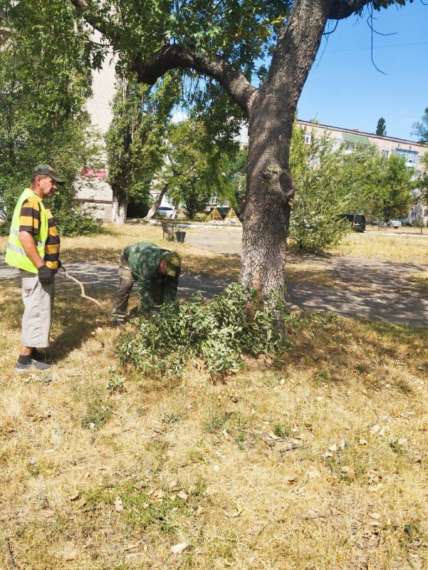 15.08.2024 ����������� �������������� ���������� ����������� ����������������� ������ ��������