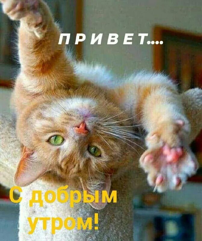 � ������ �����, ������ �������������� ������!
