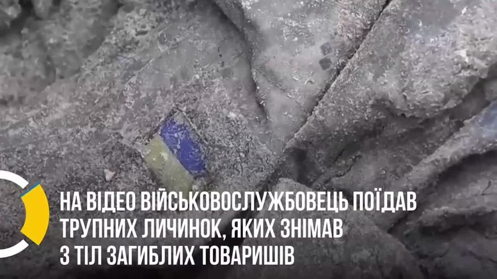 ��� - �������!. ���-�����, ��������� � ���, ����� �� ����, ��� ���� ������� �������, ������ �� ����� ����������