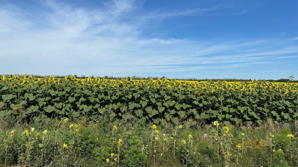 � ������ �����, ������ ����������� �������������� ������!