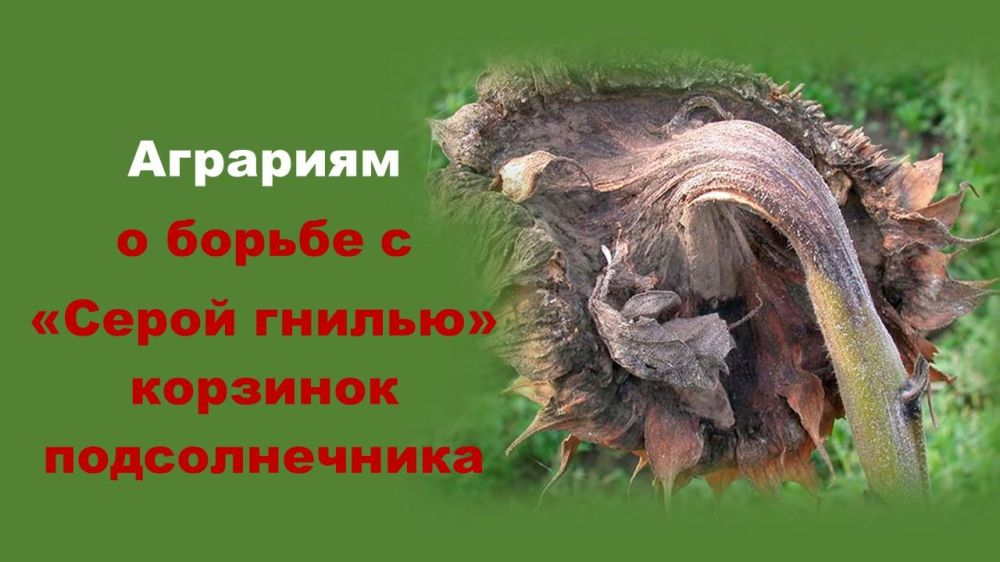 ������������� ���������� ������� ���������������� �������� �������� ����� ����� �� ������� �������������