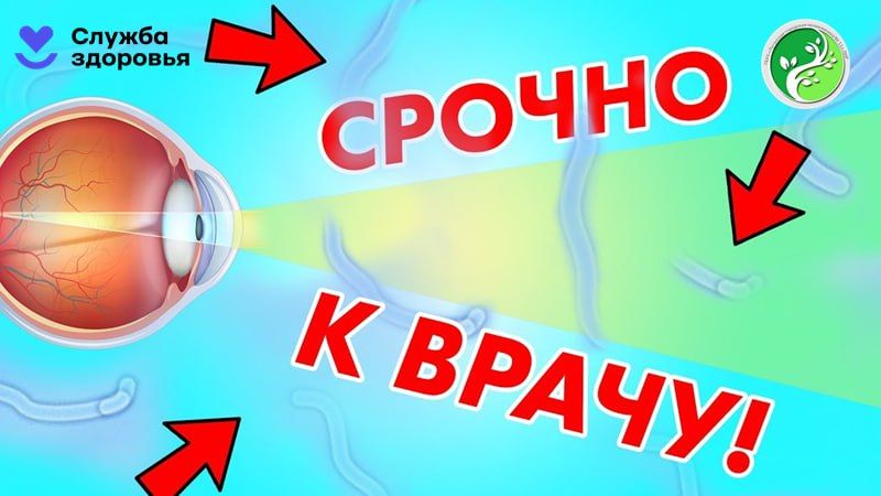 ����� ����� ������� ����� ���� ��������� ����������