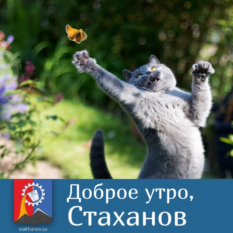 ���� �������� � ���������� ���