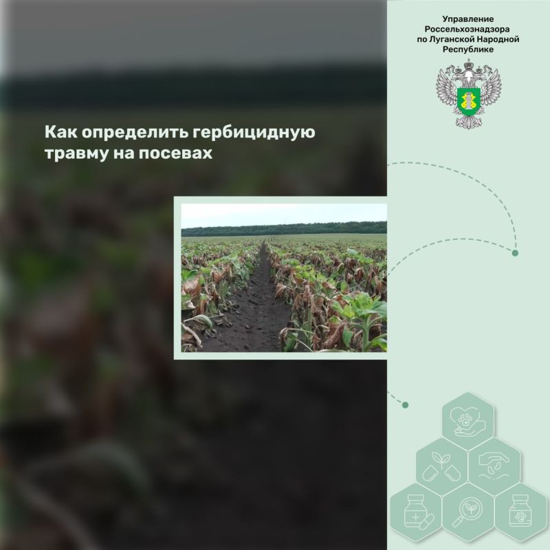 ��� ���������� ����������� ������ �� �������