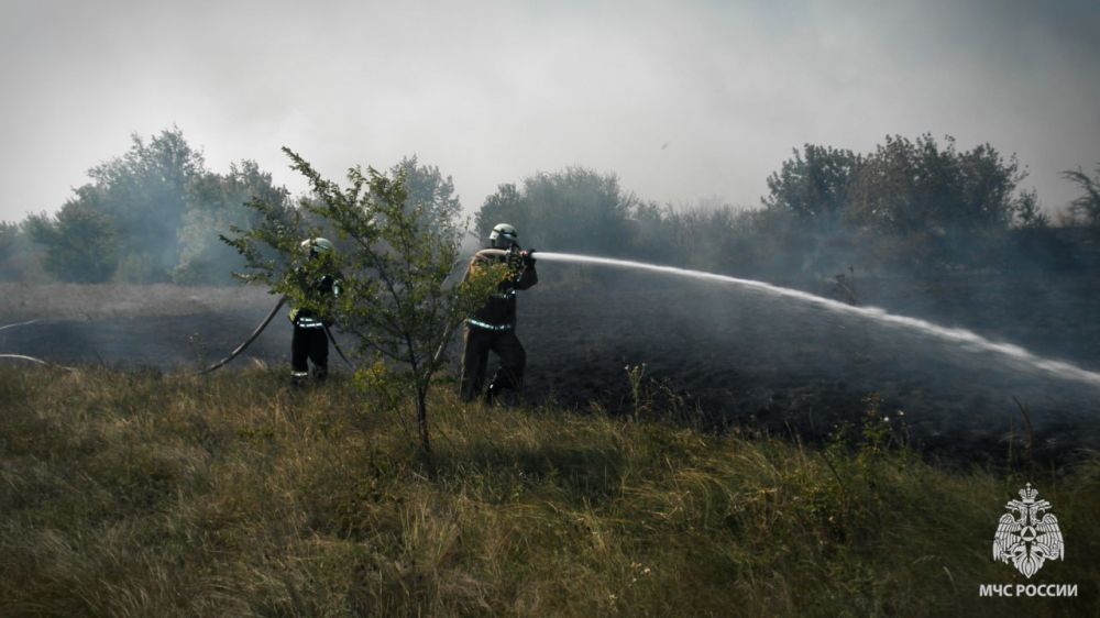 С каждым днем количество возгораний в экосистеме Республики растет