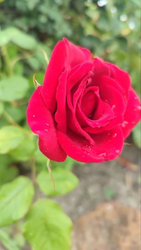 � ������ �����, ������ ����������� �������������� ������!