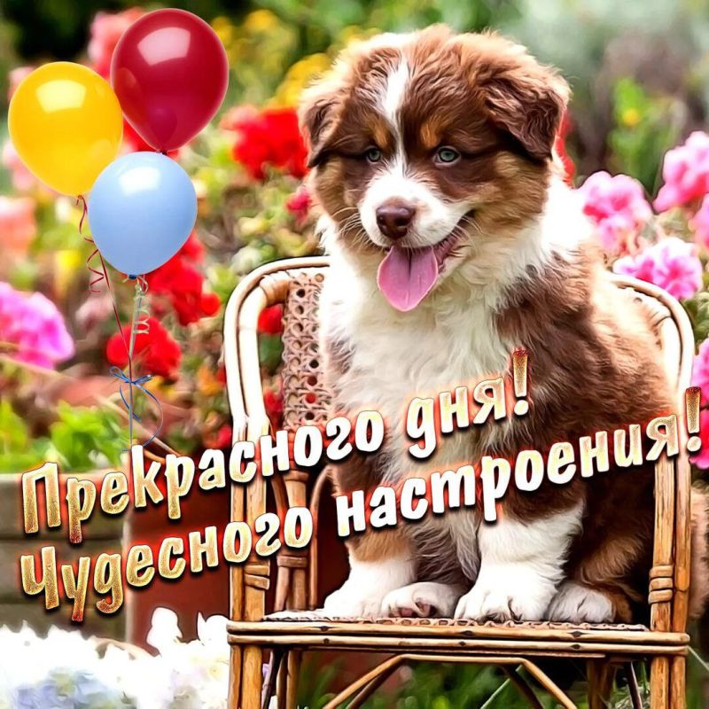 � ������ �����, ������ �������������� ������!