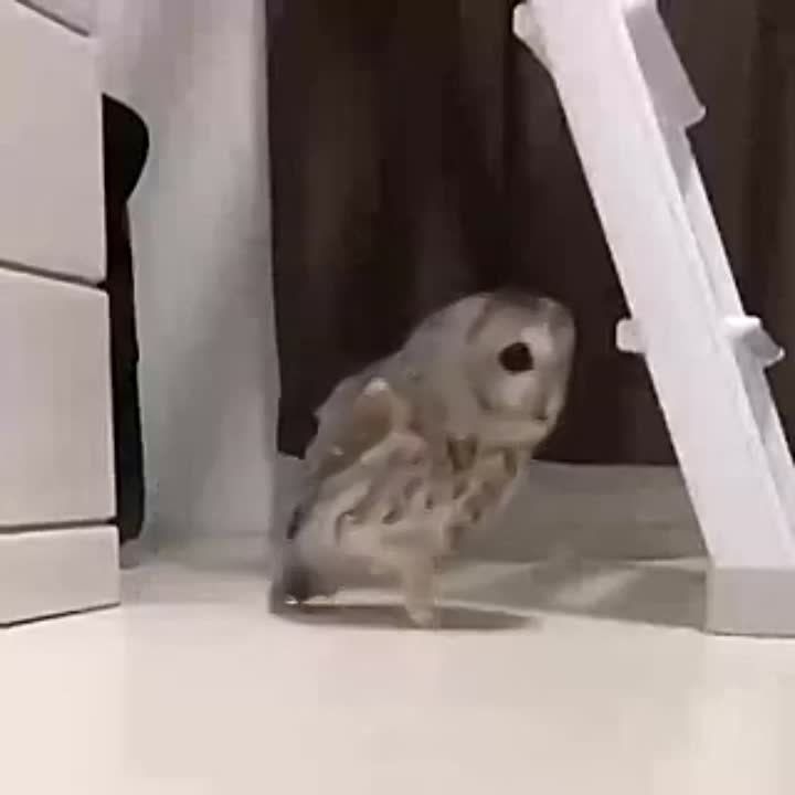 ��������� �����?. ����� ����������� ����. �� ������ ������ ������ �� ������-����� � ����������-����������, ������� ����� ���������� � ����� ��������� ���������