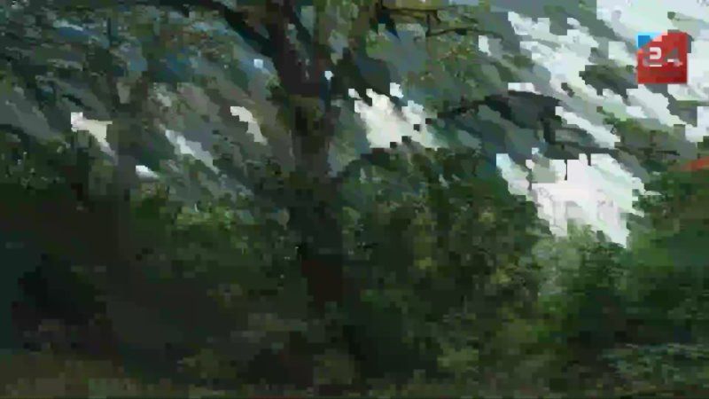 ����� ���������� �������� � ��������