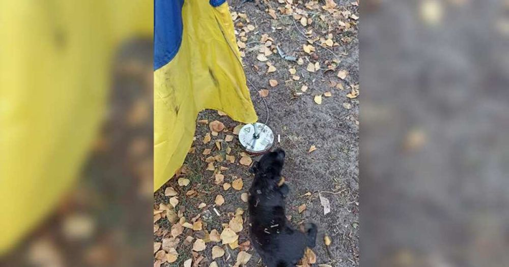 ��� ��������� ��������� ������� ���������� ���� ������� �� ��������� � ���