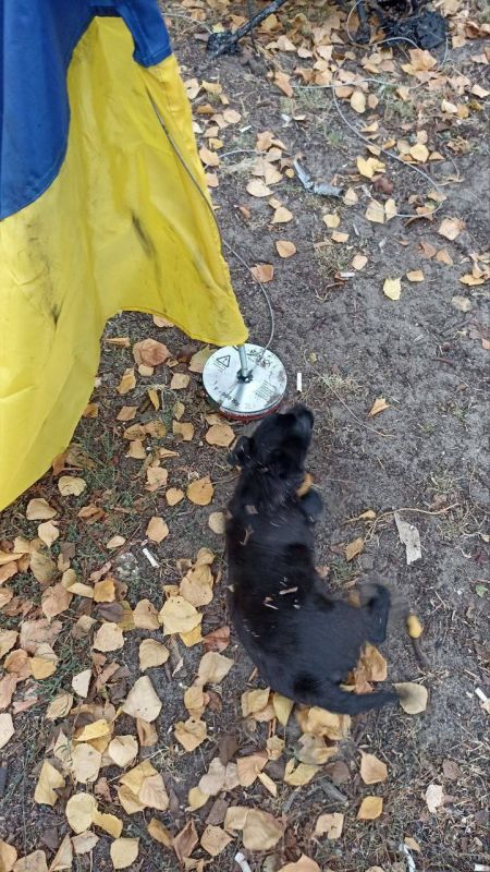 ��� ��� ������ ���� ����� ��� �������� �� �������� ���������� ���������� ���� � ��������� � ��������� - ������� ��������� ������ ��� ���� ����