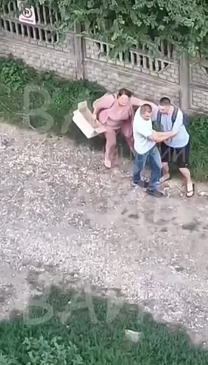 �����������. ����� ����. ���� ���