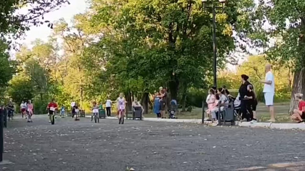  :  !!!.            .     