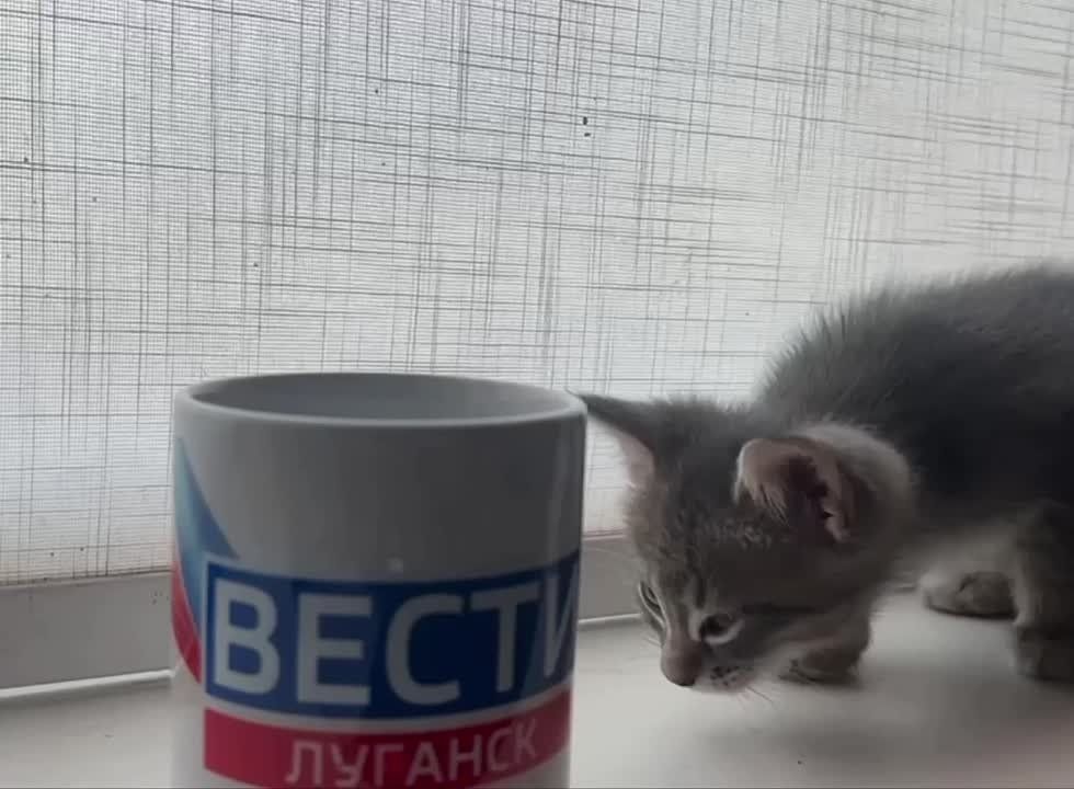 ���� ���������!. ���� ������� - ���� �� ����� ������� � ���� ������ �������� � �������� ������ ����, ������ �������. ���� ��...