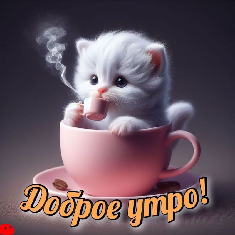 � ������ �����, ������ �������������� ������!