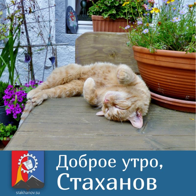� ������ �����. ���� ������� ������������
