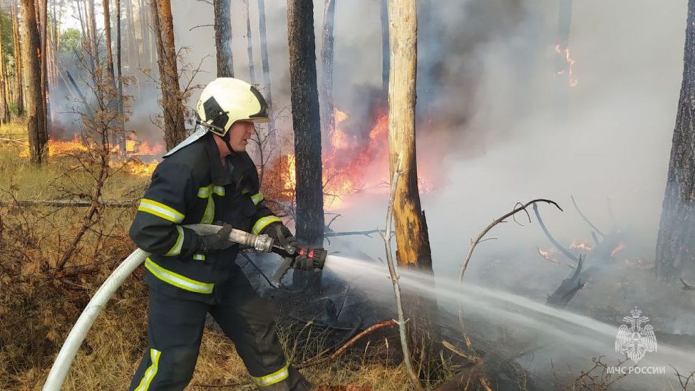 � ���������� ���� �������� ���������� ������������� 59 ����������� ���������