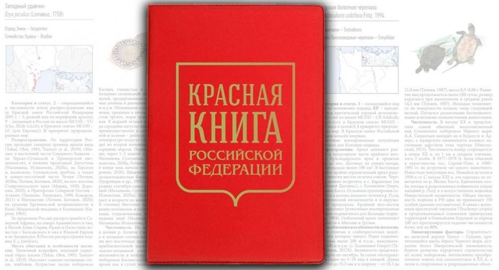 � ���������� ��� ���������� �� ��������������� �� �������������� � ��������� ��������, ���������� � ������� ����� ���������� ���������