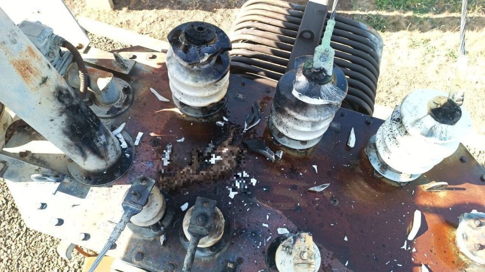 ����� ��� ������ ������� ���������� �������� ��� ����� ��-�� ������, �������� � ��� ��� "���"