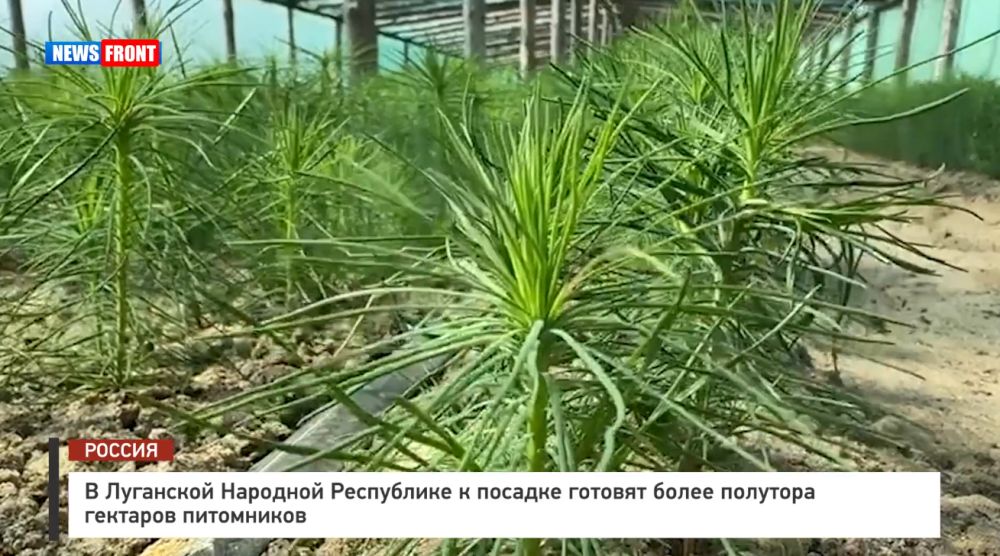 � ��������� �������� ���������� � ������� ������� ����� �������� �������� ���������� � �������� News Front