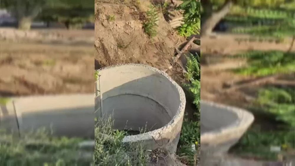 ����� �������: �� ��� �������� ���� �������� �� �������� �������� � ������� ����� � �������������� ������������ ������