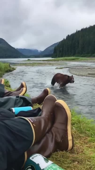 ��� ���� �������� �� ��������