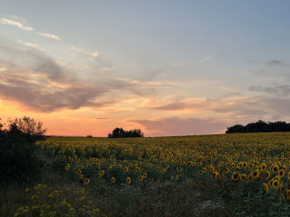 � ������ �����, ������ ����������� �������������� ������!