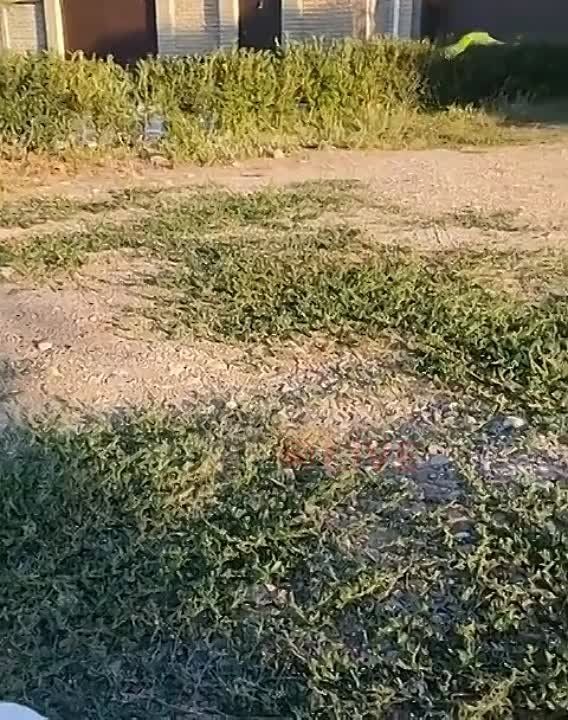 �������� �� �������� ����� �������� ����� �� ��������� ����������� �������, ������ �������� ����� ������� � ���������� � ���������� �����
