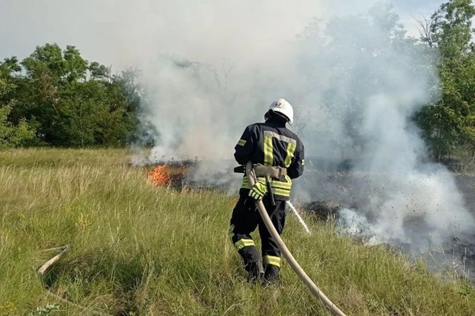 В ЛНР за сутки на природных пожарах выгорело более 420 гектаров территории